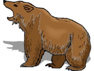 Sticker Custom Preview Image #024269 Animals Land Animals Bear19