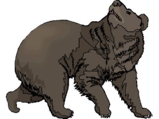 Sticker Custom Preview Image #024270 Animals Land Animals Bear20