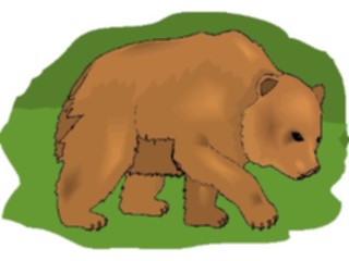 Sticker Custom Preview Image #024271 Animals Land Animals Bear21