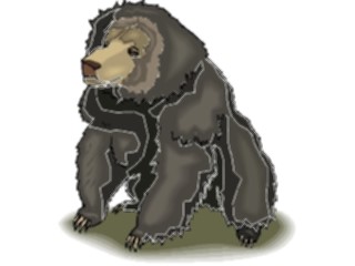 Sticker Custom Preview Image #024273 Animals Land Animals Bear23