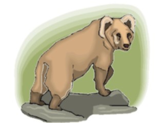 Sticker Custom Preview Image #024275 Animals Land Animals Bear25