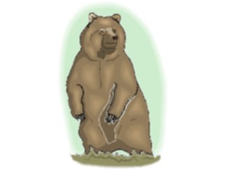Sticker Custom Preview Image #024277 Animals Land Animals Bear27