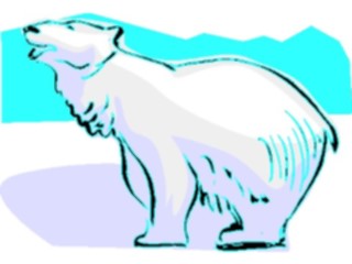 Sticker Custom Preview Image #024288 Animals Land Animals Bear Polar02