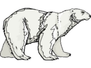 Sticker Custom Preview Image #024290 Animals Land Animals Bear Polar04