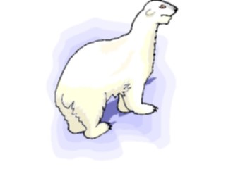 Sticker Custom Preview Image #024291 Animals Land Animals Bear Polar05