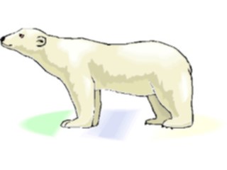 Sticker Custom Preview Image #024292 Animals Land Animals Bear Polar06