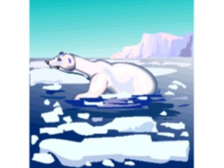 Sticker Custom Preview Image #024293 Animals Land Animals Bear Polar07