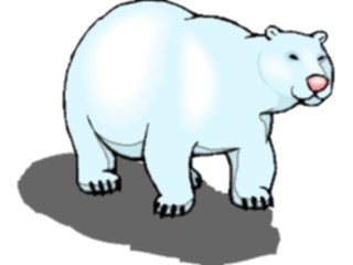Sticker Custom Preview Image #024295 Animals Land Animals Bear Polar09