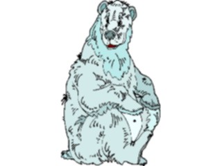 Sticker Custom Preview Image #024298 Animals Land Animals Bear Polar12