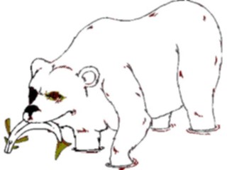 Sticker Custom Preview Image #024300 Animals Land Animals Bear Polar14