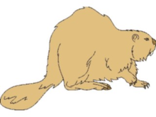 Sticker Custom Preview Image #024306 Animals Land Animals Beaver04