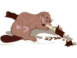Sticker Custom Preview Image #024307 Animals Land Animals Beaver05