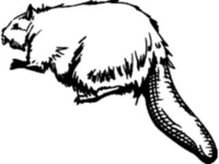 Sticker Custom Preview Image #024308 Animals Land Animals Beaver06