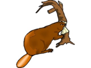 Sticker Custom Preview Image #024309 Animals Land Animals Beaver07