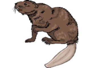 Sticker Custom Preview Image #024311 Animals Land Animals Beaver09
