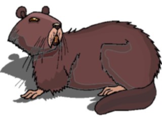 Sticker Custom Preview Image #024312 Animals Land Animals Beaver10