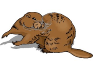 Sticker Custom Preview Image #024313 Animals Land Animals Beaver11