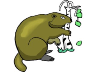 Sticker Custom Preview Image #024315 Animals Land Animals Beaver13