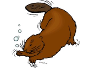 Sticker Custom Preview Image #024317 Animals Land Animals Beaver Swimming
