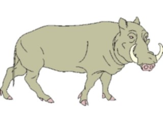 Sticker Custom Preview Image #024323 Animals Land Animals Boar3