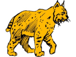 Sticker Custom Preview Image #024328 Animals Land Animals Bobcat1