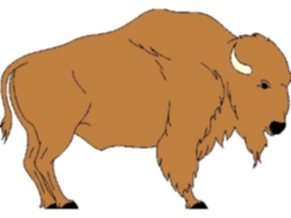 Sticker Custom Preview Image #024336 Animals Land Animals Buffalo03