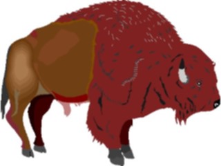 Sticker Custom Preview Image #024339 Animals Land Animals Buffalo06