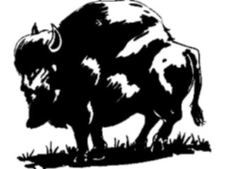 Sticker Custom Preview Image #024342 Animals Land Animals Buffalo09