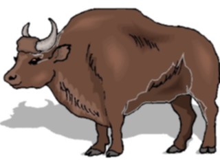 Sticker Custom Preview Image #024347 Animals Land Animals Buffalo14