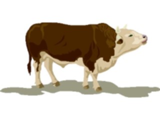 Sticker Custom Preview Image #024355 Animals Land Animals Bull6