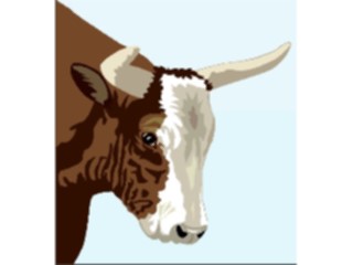 Sticker Custom Preview Image #024359 Animals Land Animals Bull Head4