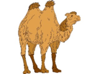 Sticker Custom Preview Image #024363 Animals Land Animals Camel04