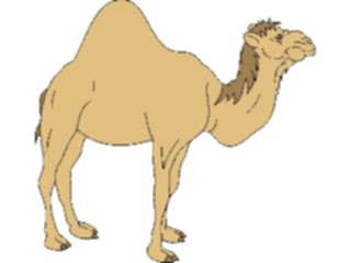 Sticker Custom Preview Image #024364 Animals Land Animals Camel05