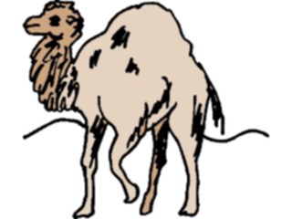 Sticker Custom Preview Image #024366 Animals Land Animals Camel07
