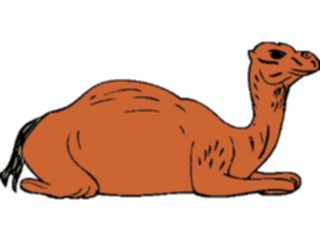 Sticker Custom Preview Image #024368 Animals Land Animals Camel09