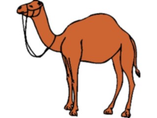 Sticker Custom Preview Image #024370 Animals Land Animals Camel11
