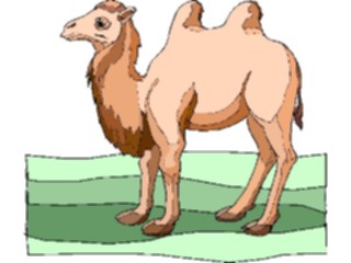 Sticker Custom Preview Image #024372 Animals Land Animals Camel13