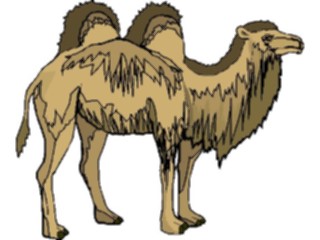 Sticker Custom Preview Image #024375 Animals Land Animals Camel16
