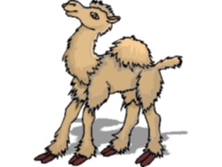 Sticker Custom Preview Image #024376 Animals Land Animals Camel17