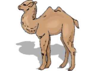 Sticker Custom Preview Image #024377 Animals Land Animals Camel18