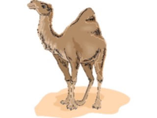 Sticker Custom Preview Image #024378 Animals Land Animals Camel19