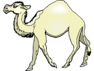 Sticker Custom Preview Image #024379 Animals Land Animals Camel20