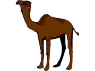 Sticker Custom Preview Image #024382 Animals Land Animals Camel23