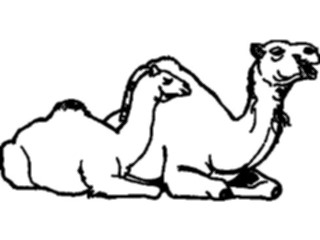 Sticker Custom Preview Image #024384 Animals Land Animals Camels
