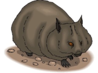 Sticker Custom Preview Image #024388 Animals Land Animals Cavy1