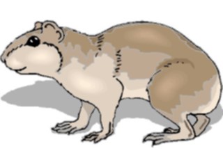 Sticker Custom Preview Image #024389 Animals Land Animals Cavy2