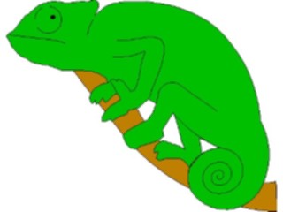 Sticker Custom Preview Image #024390 Animals Land Animals Chameleon1
