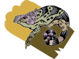 Sticker Custom Preview Image #024395 Animals Land Animals Chameleon6