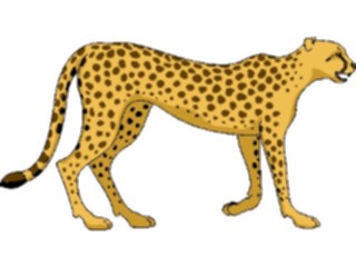 Sticker Custom Preview Image #024401 Animals Land Animals Cheetah1