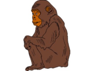 Sticker Custom Preview Image #024403 Animals Land Animals Chimp01